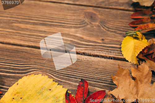 Image of Background with wooden table and autumnal leaves