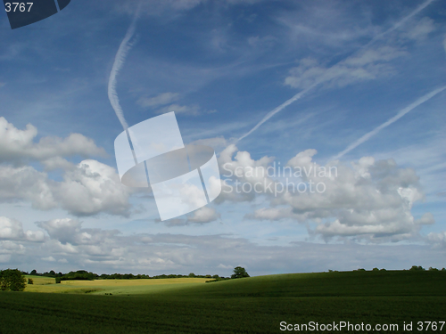 Image of wheat + clouds