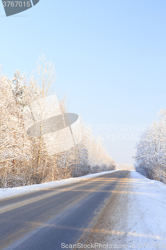 Image of Winter road through snowy forests