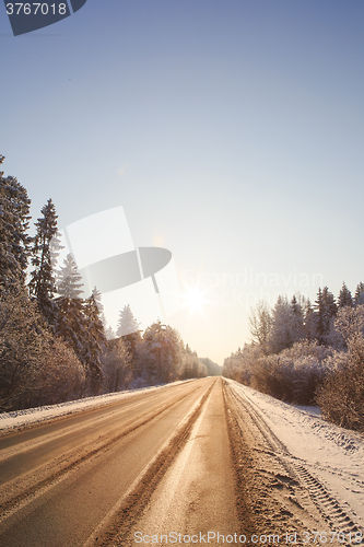 Image of Winter road through snowy forests