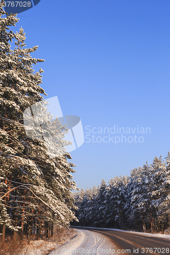 Image of Winter road through snowy forests