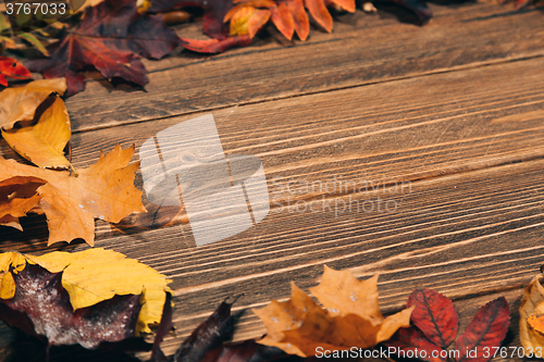 Image of Background with wooden table and autumnal leaves