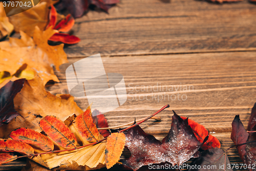 Image of Background with wooden table and autumnal leaves