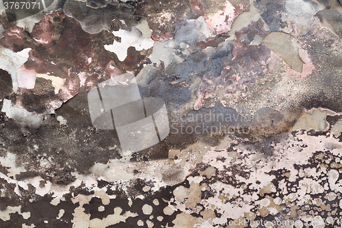 Image of Grunge wall texture