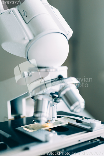 Image of Microscope in Laboratory 