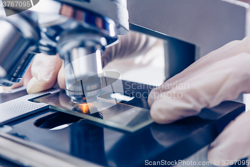 Image of Scientist hands with microscope