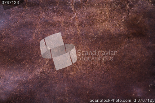 Image of Brown leather texture