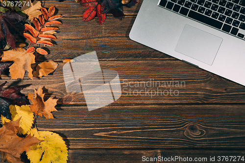 Image of Background with laptop and autumnal leaves