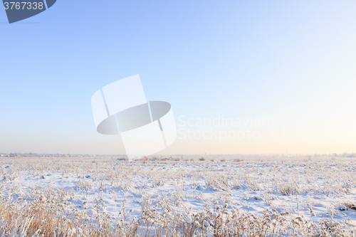 Image of snow-covered field with grass