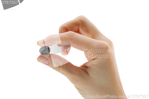 Image of Lotus seeds in hand