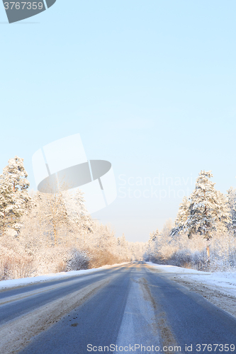 Image of Winter road through snowy fields and forests