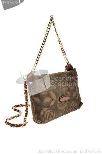 Image of Brown womens bag isolated on white background.