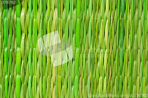 Image of Bamboo detail