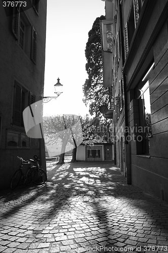 Image of shadows on the roadway