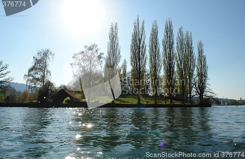 Image of trees on the island