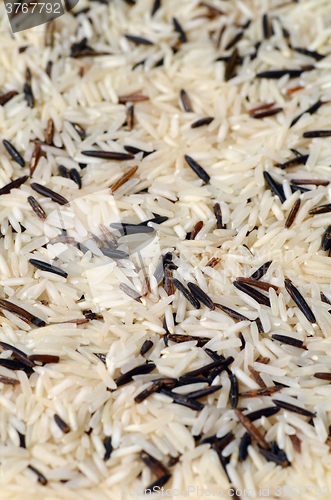 Image of Uncooked Mixed Rice