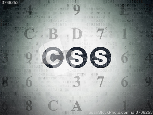 Image of Software concept: Css on Digital Paper background