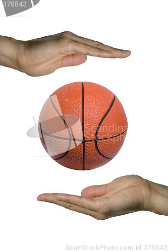 Image of Holding the Basketball