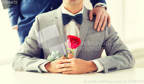 Image of close up of male gay couple with wedding rings on