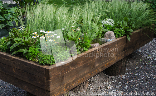 Image of A variety of plants and vegetables grown in a wooden box, close 