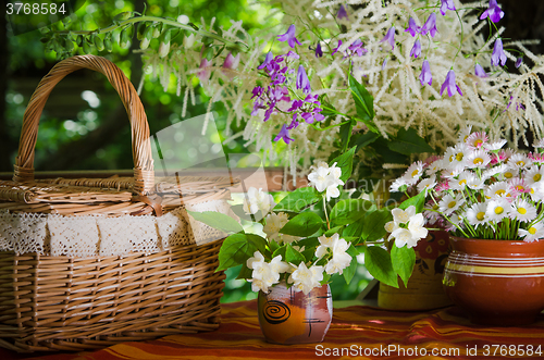 Image of A bouquet of daisies in a pot on the table for a picnic