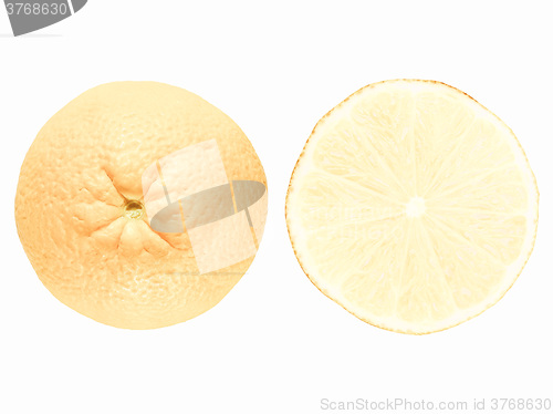Image of Retro looking Lemon fruit