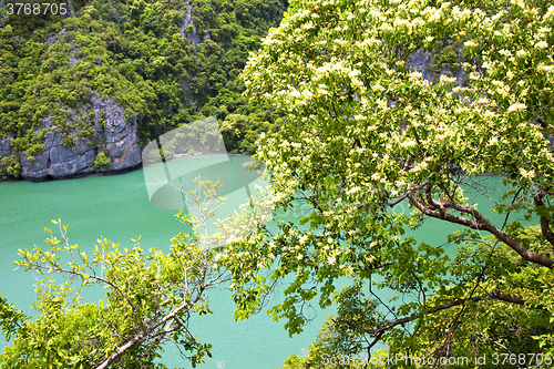 Image of  coastline of a green   south china sea thailand  