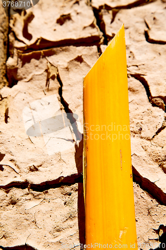 Image of cracked sand in morocco africa desert   bark