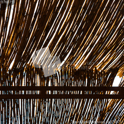 Image of morocco abstract bamboo roof in the  africa  sky