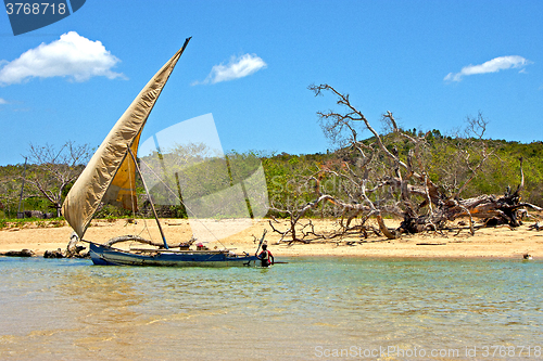 Image of pirogue beach seaweed in indian ocean   and rock