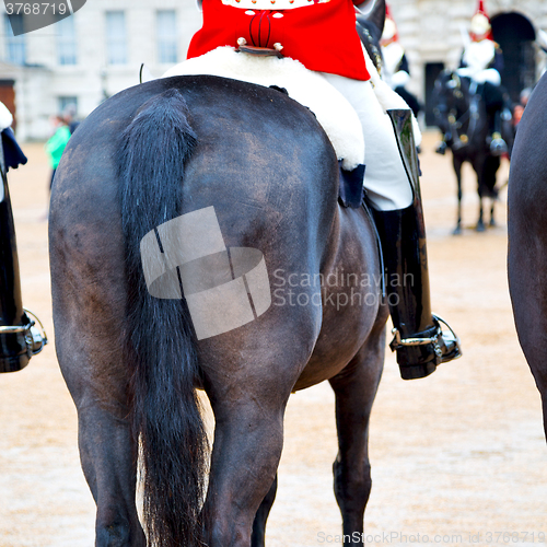 Image of in london england horse and cavalry for    the queen