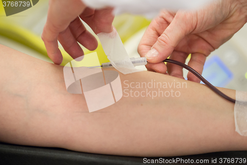 Image of Donor in an armchair donates blood, inserting the needle