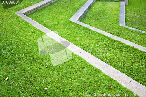 Image of thailand asia  abstract cross garden grass in the temple 