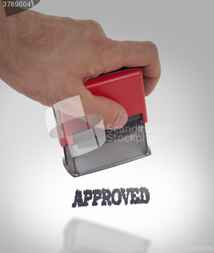 Image of Plastic stamp in hand, isolated