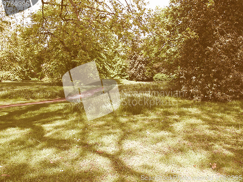 Image of Retro looking Greenery background