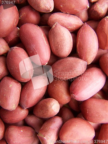 Image of Many peanuts