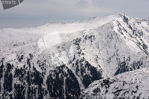 Image of Pirin hills