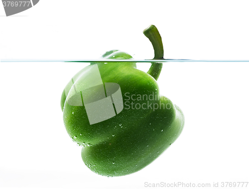 Image of green pepper dipping or  floating in still water 