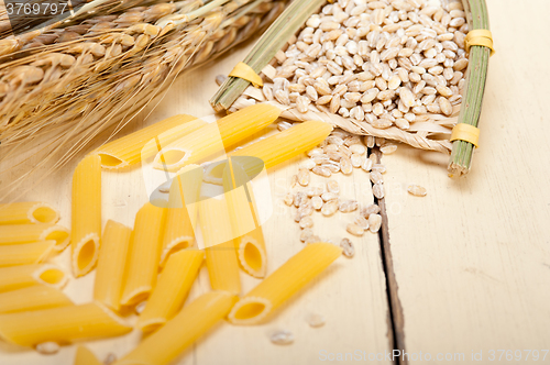 Image of Italian pasta penne with wheat