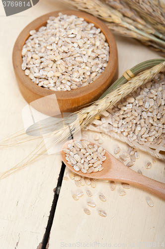 Image of organic barley grains