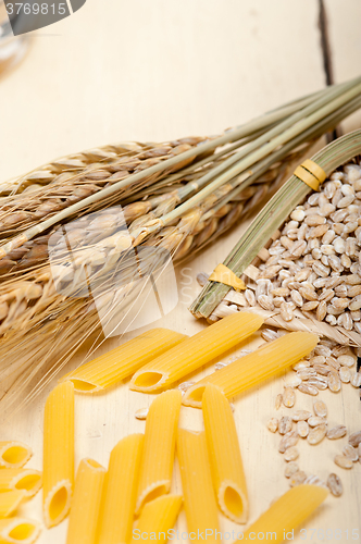 Image of Italian pasta penne with wheat