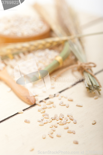 Image of organic barley grains