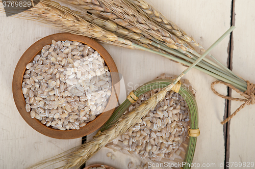 Image of organic barley grains