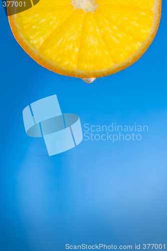 Image of orange slice