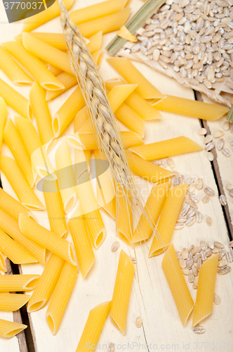 Image of Italian pasta penne with wheat