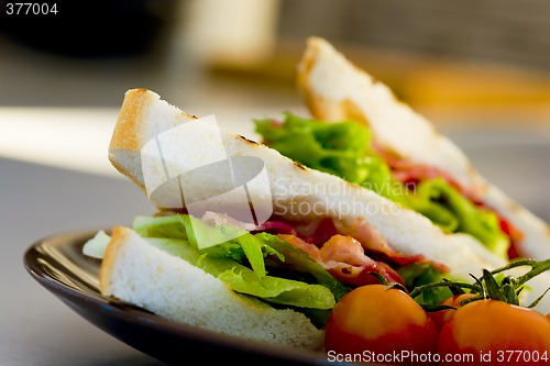 Image of Sandwich