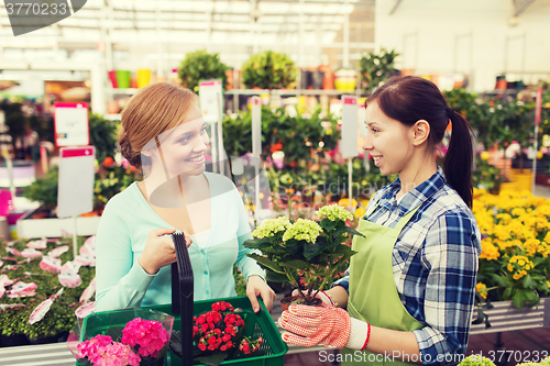 Image of happy women choosing flowers in greenhouse