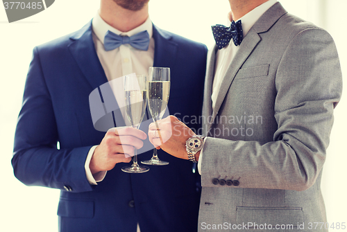 Image of close up of male gay couple with champagne glasses