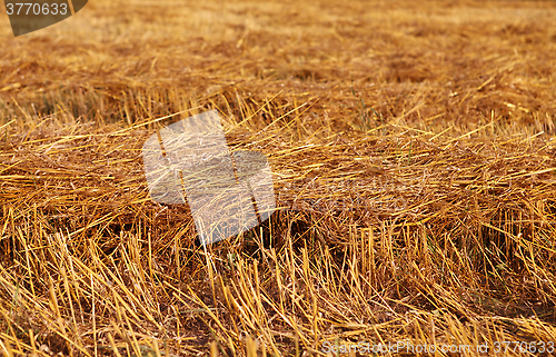 Image of straw on field