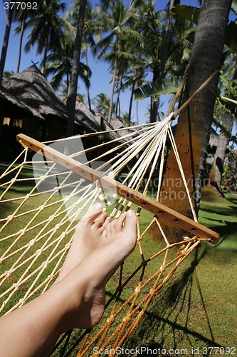 Image of Hammock Feet